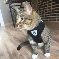 Harnais chat | harnais pour chat confortable chat doux