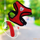 Harnais chat | harnais pour chat confortable chat doux