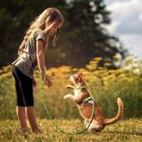 Harnais chat - harnais chaton chat doux