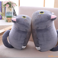 PELUCHE CHAT - COUSSIN CHAT - DOUX ET CONFORTABLE | MICHOU™ chat doux