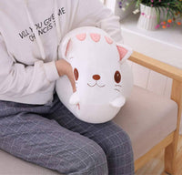 PELUCHE CHAT - COUSSIN CHAT - DOUX ET CONFORTABLE chat doux