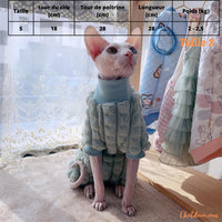 PULL CHAT | PULL POUR CHAT CHAUD ET DOUX| VETEMENT CHAT| Tchaty™ chat doux